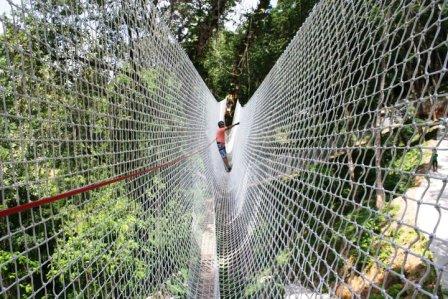 Phuket Tree Adventure Phuket Tree Adventure,wat chalong phuket,Wat Chalong in Phuket Chalong Bay Attractions,Chalong Temple Wat Chalong,Wat Chalong temple Wat Chaitararam Phuket,wat chalong phuket map,luang phor chaem wat chalong phuket,chalong temple phuket,wat chalong location,wat chalong festival,chalong temple,wat chalong,chalong,chalong phuket,chalong bay,chalong temple,chalong beach hotel & spa,chalong bay rum,mee calong,aochalong villa & spa,chalong chalet resort & longstay,chalong thailand,chalong miracle lakeview,tinvui info cha long,ao chalong,chalong ink,chalong gym,ao chalong yacht club,homepro chalong,chalong circle,coco chalong,chalong sea breeze,cha long dang o dau,chalong hotels,chalong phuket map,chalong pier ferry,chalong co. ltd,windguru chalong bay,chalong shooting range,chalong beachfront residence,chalong muay thai,chalong villa,chalong phuket nightlife,chalong restaurants,chalong mansion,chalong to patong,chalong pier phuket map,chalong bay map,chalong accommodation,chalong map,temple de chalong,chalong police station,tesco lotus thalang phuket,chalong yacht club,cha long long thuong xot,chalong language school,chalong boutique inn,chalong pool villa,chalong massage,chalong market,chalong nightlife,chalong sea view resort,chalong fitness,chalong bay hotels,aochalong villa & spa phuket,chalong bay view condominiums,chalong phuket thailand,chalong latex industry co. ltd,chalong phuket accommodation,chalong apartment,chalong highlands,chalong to phi phi,chalong muang phuket,chalong bay beach,chalong bay pier,chalong glass aluminum co. ltd,chalong pier map,chalong co ltd thailand,chalong sea view villa,wine connection chalong phuket,wat chalong map,chalong bay phuket map,chalong harbour estate,chalong to phuket airport,chalong villa gym,chalong temple phuket map,chalong spa,chalong bay distillery,shillong disco,chalong bay to patong,chalong residences,chalong pier to coral island,chalong sauna,chalong map phuket,shanti lodge chalong,chalong hotels phuket,chalong resort phuket,chalong rawai,chalong phuket hotels,temple de chalong phuket,chalong house for rent,wat chalong in phuket,chalong thailand map,chalong marina,chalong resort,cha cha long beach,map of chalong phuket,chalong elephant trekking,map of chalong,chalong attractions,chalong apartment rent,villa zolitude chalong,chalong house,chalong post office,wat chalong phuket map,chalong diving,chalong beach phuket map,chalong krung road,chalong restaurants phuket,nomads chalong bay,the one chalong,chalong ferry,chalong sea breeze guest house,nomads chalong beach phuket,chalong guest house,kfc chalong,chalong living home,happy cottage chalong,chalong rentals,chalong bay thailand map,chalong wat,signature chalong,chalong villa for rent,ao chalong phuket map,chalong aquarium,detox chalong,chalong to phuket town,wat chalong opening hours,chalong hotel and spa phuket,chalong medical dental center,dwell chalong,chalong dive shops,chalong waxing,serenity chalong,chalong things do,ao chalong map,chalong bay rum tour,cha long cha ye mao,chalong real estate,chalong temple fair 2015,pictures of chalong bay,chalong temple fair,chalong tiger muay thai,chalong temple big buddha,chalong inter clinic,ao chalong yacht club facebook,chalong things to do,chalong guide,chalong racha ferry,chalong shopping,chalong pier google maps,youtube chalong,chalong latex,chalong hardy,chalong wine connection,wat chalong entrance fee,chalong inn phuket,chalong map google,chalong beach hotel & spa map,chalong go go bars,chalong shopping centre,centro cha long beach,chalong elite fitness,chalong thailand nightlife,kata chalong,chalong fitness center,chalong villa resort and spa tripadvisor,wat chalong location map,wat chalong dress code,chalong green view,chalong temple phuket address,chalong harbour estate phuket,chalong pier beer garden,hot yoga chalong,chalong marina phuket,kite zone chalong,chalong bungy jump,chalong koh lanta,chalong koh phi phi,nomads chalong beach phuket tripadvisor,chalong to racha yai,chalong reggae bar,chalong phuket fishing