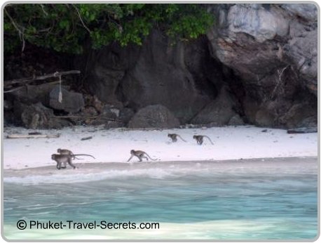 vacation secret