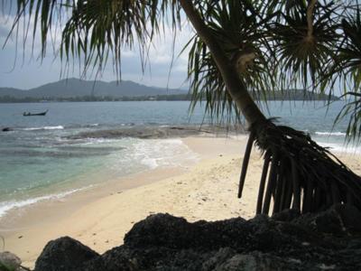 A short Longtail boat trip out to Bon Island