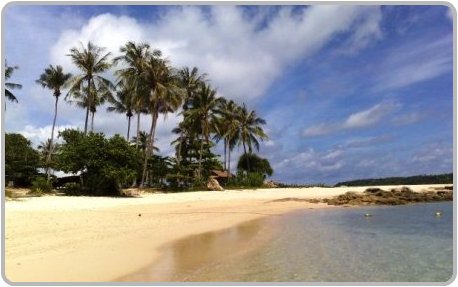 Bon Island Restaurant. Bon Island Restaurant.