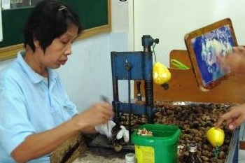 Cashew Nut Factory in Phuket