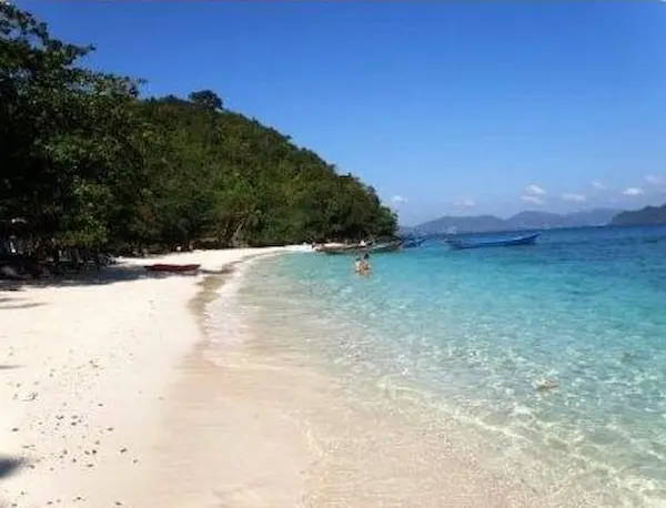 Coral Island Coral Island