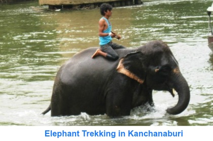Elephant Trekking in Kanchanaburi