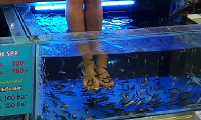 Fish Spa in Phuket Fish Spa in Phuket