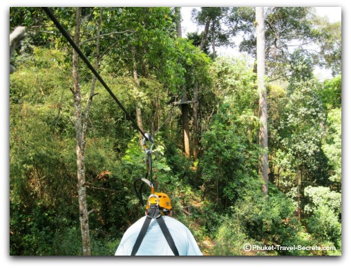 Flying like a bird in Chiang Mai