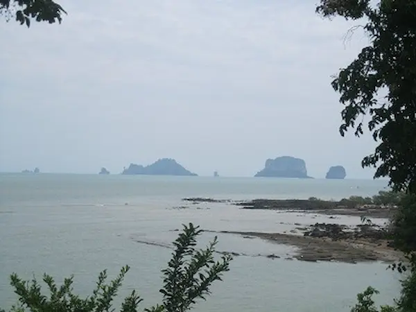 Krabi Gastropod Fossil Site
