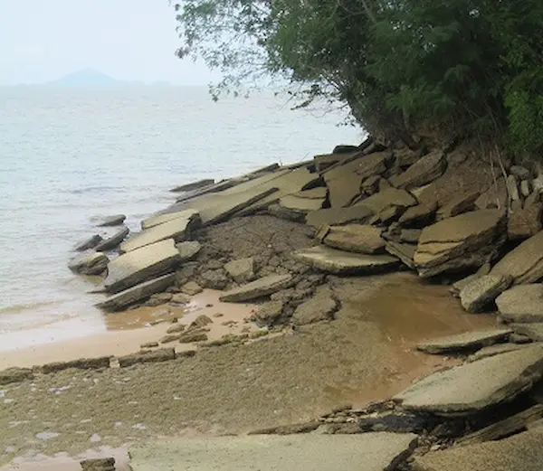 Gastropod Fossil in Krabi, Thailand