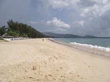 Casuarina Trees line Layan Beach