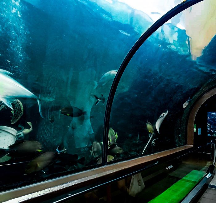 Aquarium in Phuket