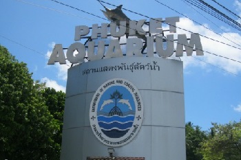 Phuket Aquarium