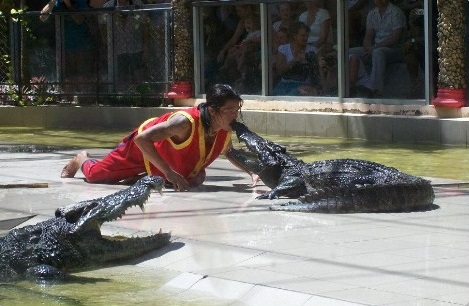 Crocodile show at the Zoo in Phuket. Crocodile show at the Zoo in Phuket.