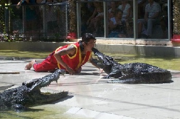 Phuket Zoo