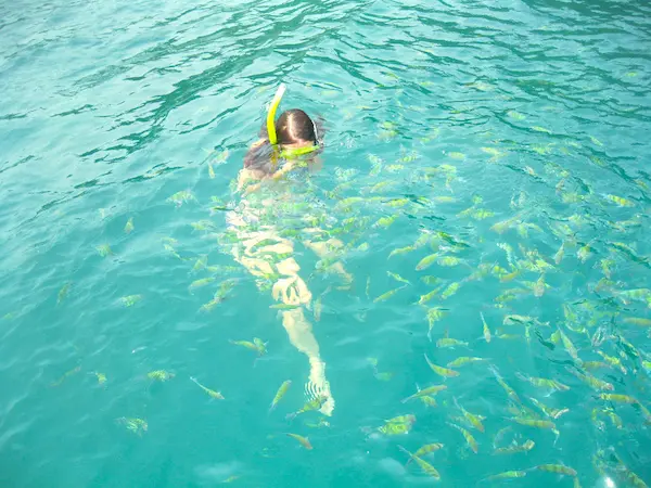 Amazing snorkeling experience at Chicken Island, Krabi Snorkeling near Koh Gai