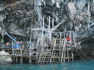 Exploring the Viking Cave at Koh Phi Phi from our boat Viking Cave Koh Phi Phi