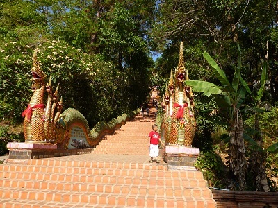 The impressive Naga Serpent staircase leading to Wat Phra That Doi Suthep.